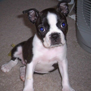 Meet your Posher, Stacia